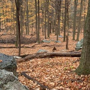 Meet your Posher, Riley